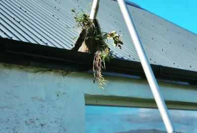 309309033_620455076290140_1960687236908263816_n