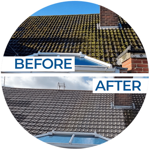 mossy roof before and after roof cleaning