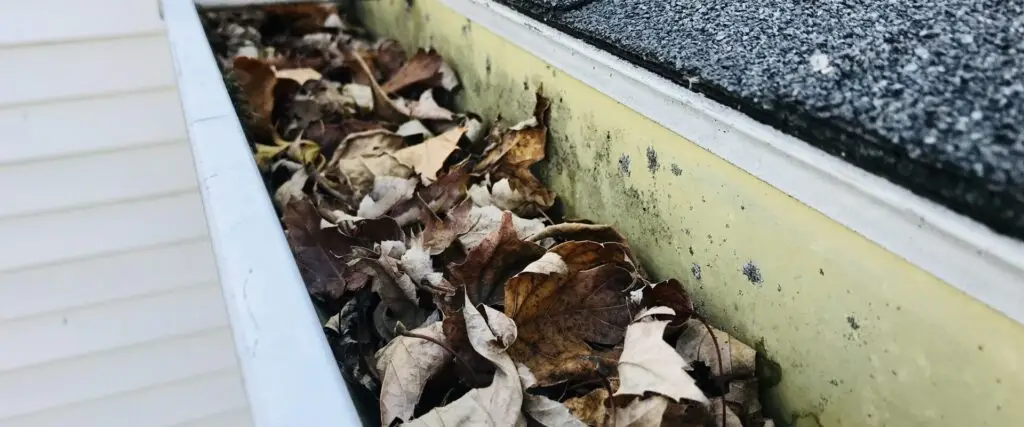 commercial gutter