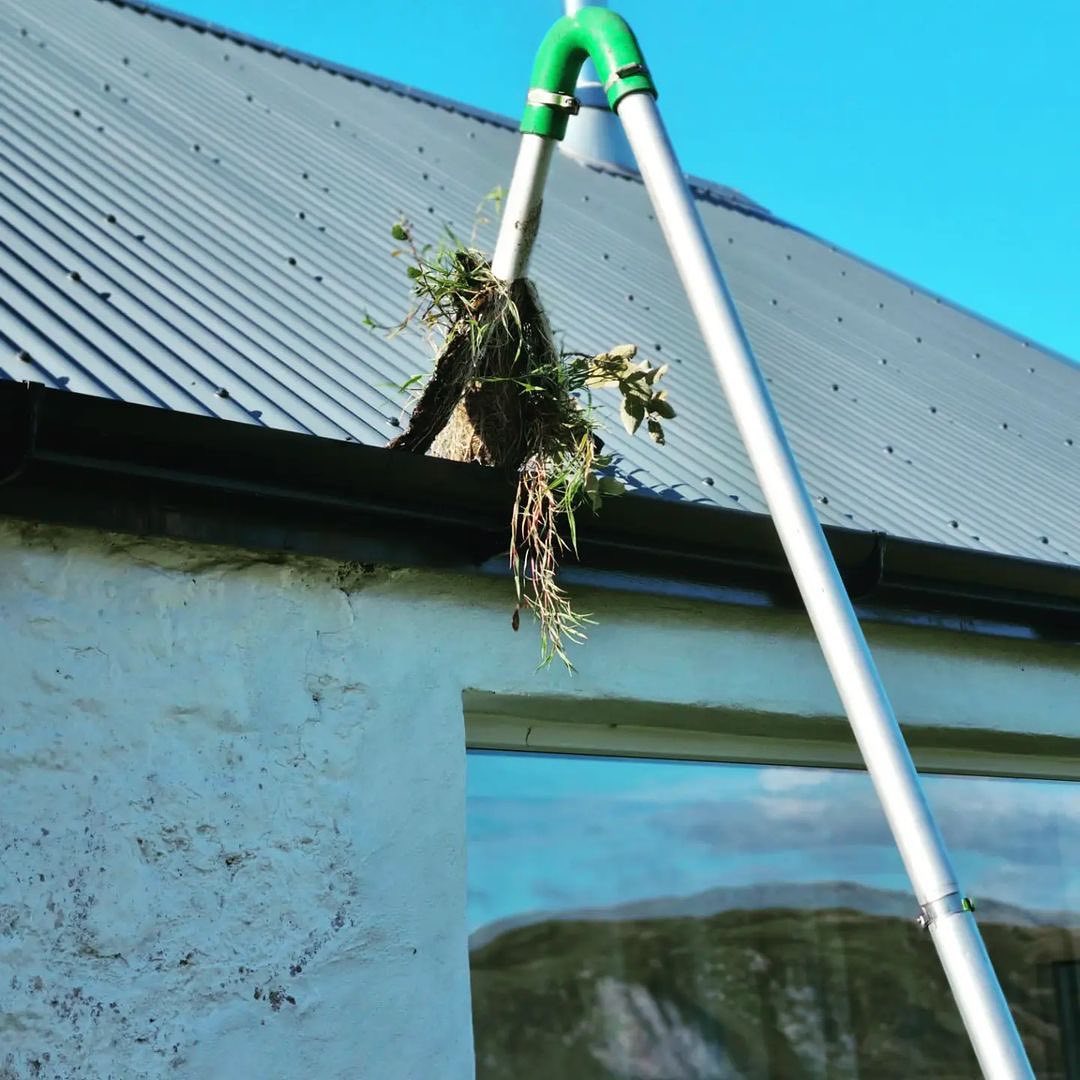 MOSS REMOVAL GUTTERS