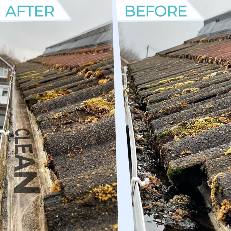 BEFORE AND AFTER GUTTER CLEANING