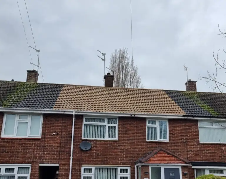 Roof Cleaning