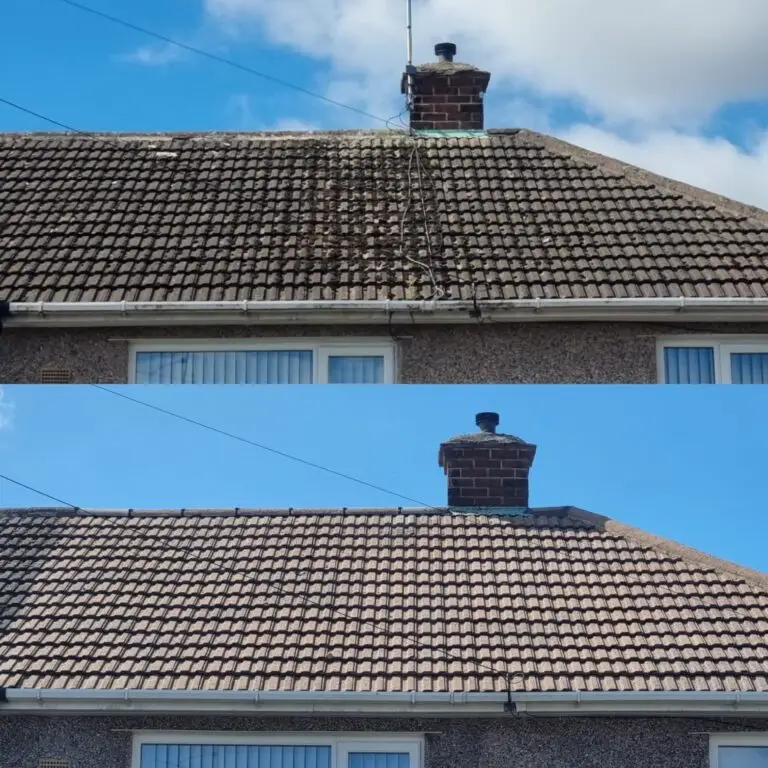 Moss removal